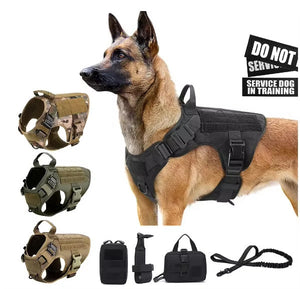Cloud Lite Dog Harness