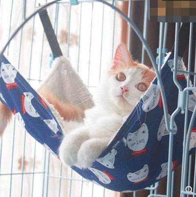 Cat cat hammock